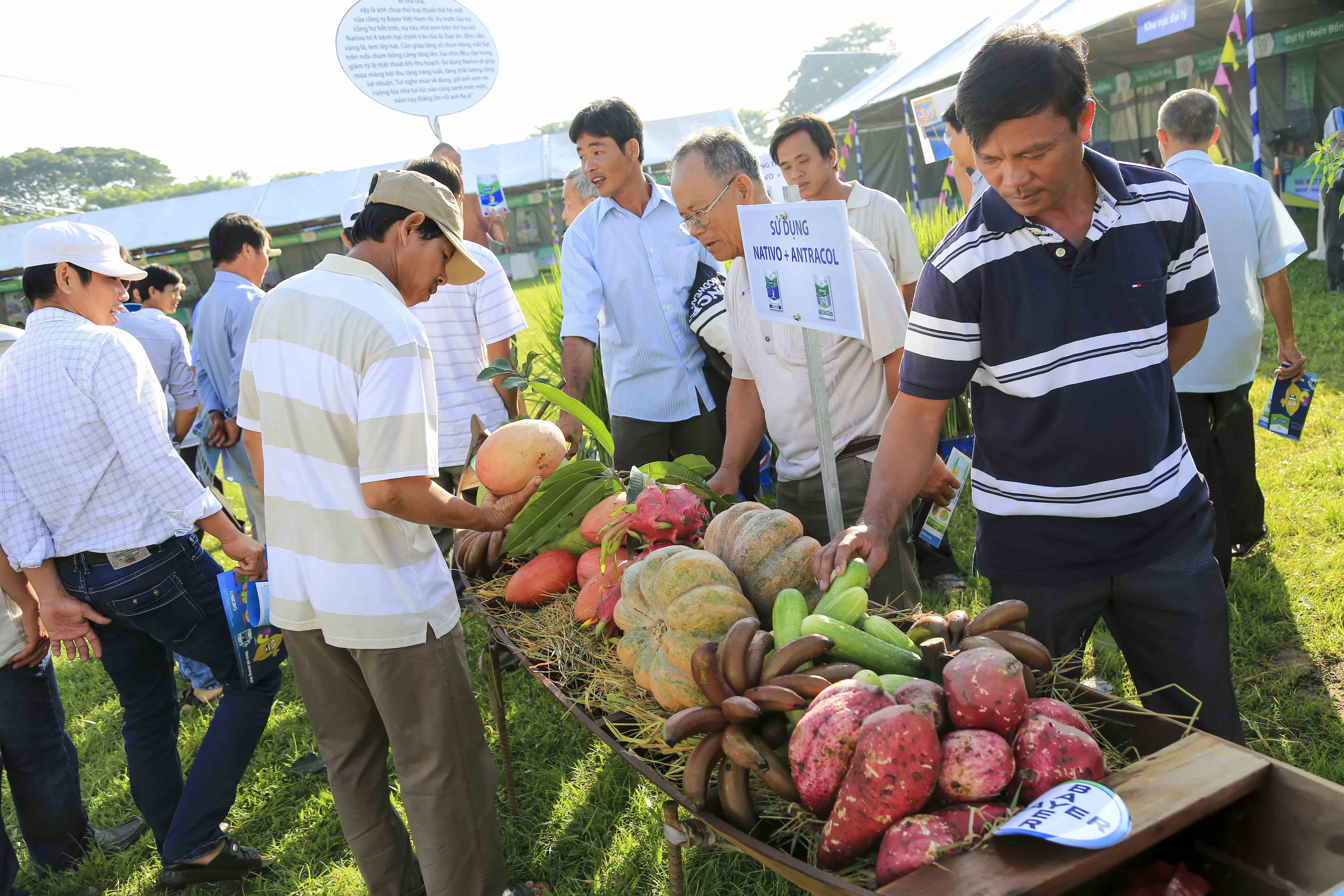 Khu trưng bày sản phẩm Nativo An Giang